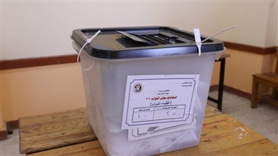 عمليات مستقبل وطن سوهاج: ارتفاع نسبة التصويت فى انتخابات النواب إلى 17.3 %