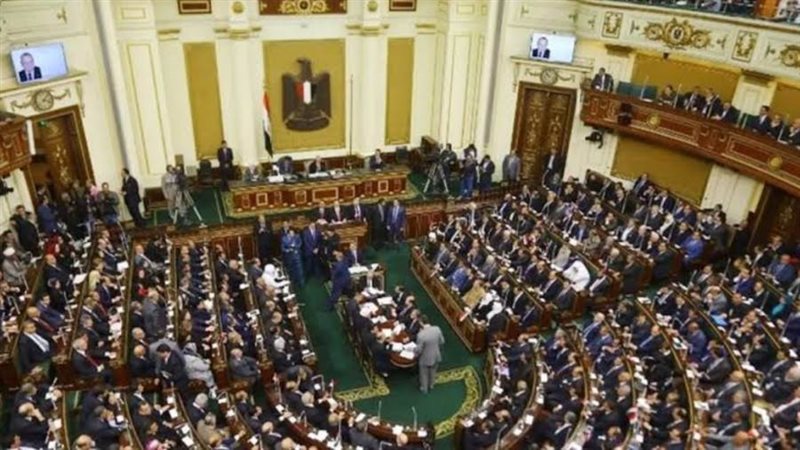 البرنامج المصري