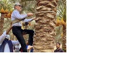 سفير اليابان يشيد بمكانة مصر الزراعية في مجال زراعة الموالح