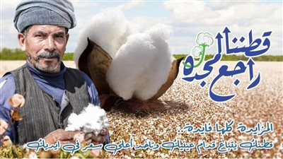 قطاع الأعمال