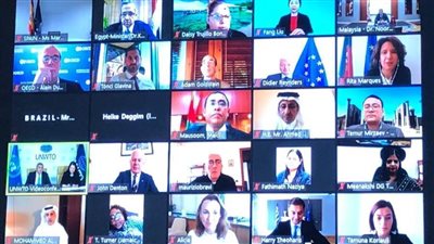 العنانى يجتمع عبر 