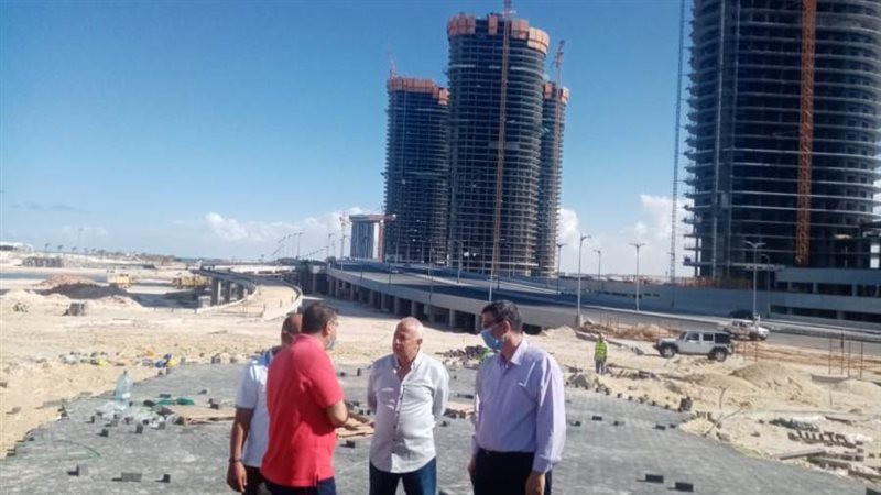 مساعد نائب رئيس هيئة