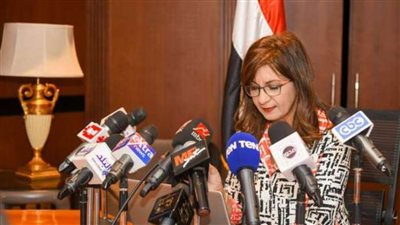 الهجرة: تصويت المصريين بالخارج في الانتخابات البرلمانية يومي 2و3 نوفمبر بطباعة وإرسال بطاقات الاقتراع