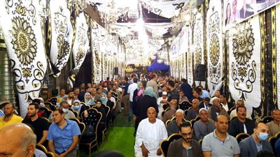 مؤتمر حاشد للقائمة الوطنية بكفرالشيخ 