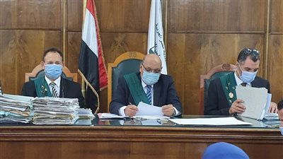 الإدارية العليا: البناء على الأراضي الزراعية ينال من حقوق الدولة والشعب