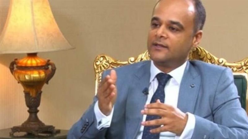 المستشار نادر سعد