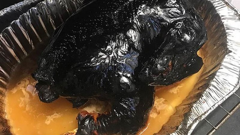 الديك الرومي اتحرق