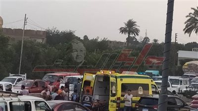 إصابة 3 أشخاص في حادث تصادم بالطريق الزراعي بطوخ