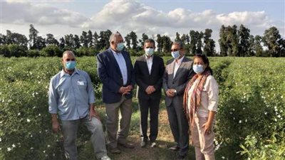 وزير الزراعة: الصوب الزراعية أحد أفضل المشاريع التي تتبناها الوزارة