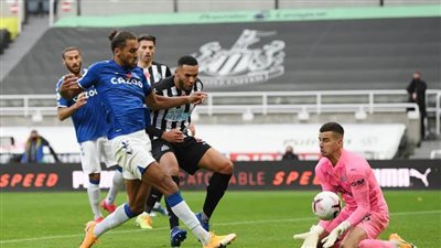 إيفرتون يسقط أمام نيوكاسل ويفسح المجال أمام ليفربول لصدارة البريمرليج