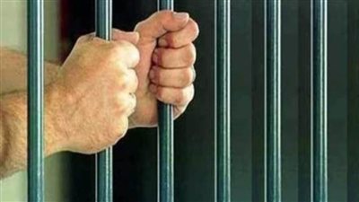 حبس سائق تسبب في مصرع وإصابة 13 آخرين بحادث بالبدرشين