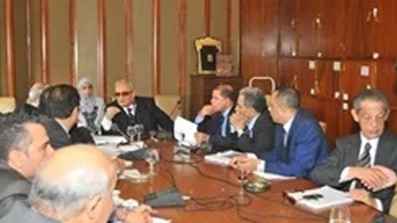 لجنة الشؤون الدستورية