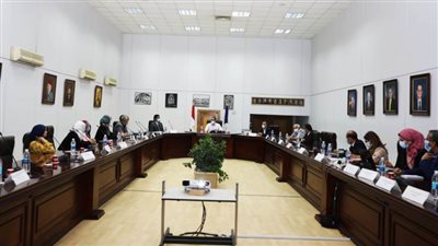 العناني يجتمع في المتحف الكبير مع بعض شركات الاتصالات