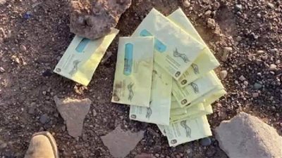 رصد وقائع تزوير في الانتخابات الرئاسية الأمريكية