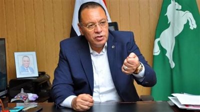 حملات لرفع القمامة استعدادا لانتخابات النواب بالشرقية 