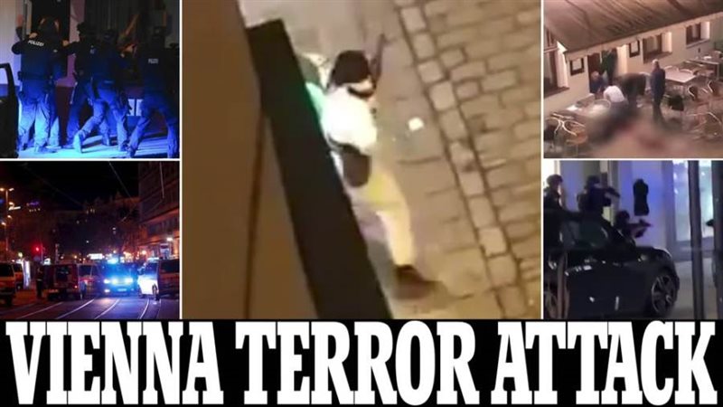 صور من موقع الحادث