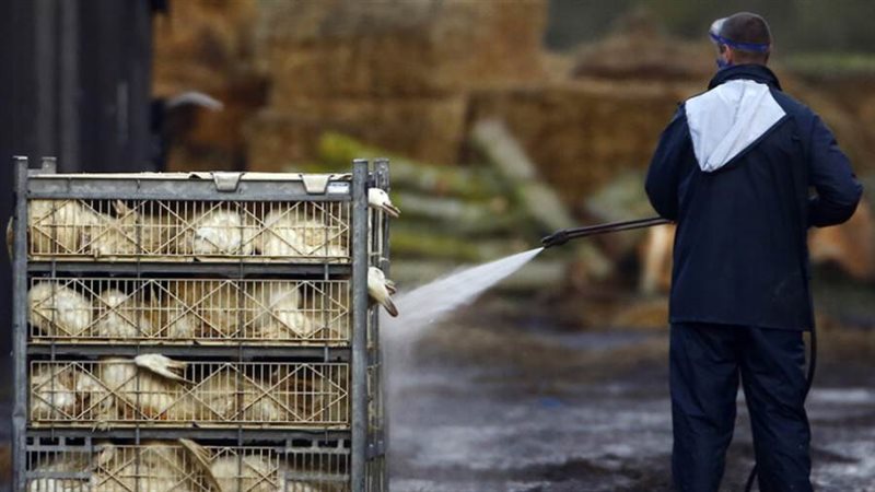 اكتشاف بؤرة جديدة