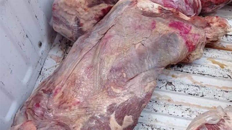 حملة تموينية مكبرة