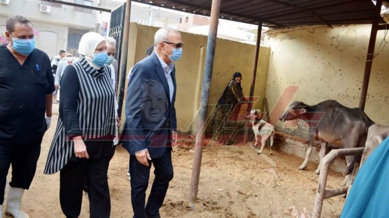 قافلة بيطرية