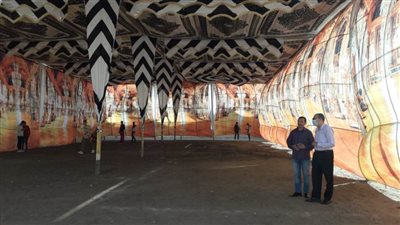 محافظ الدقهلية يتابع تعقيم مقار انتخابات مجلس النواب