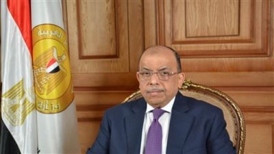 وزير التنمية المحلية يبحث مع وفدين من الاتحاد الأفريقي وبرنامج الأغذية العالمي آفاق التعاون الإقليمي لدول شمال أفريقيا