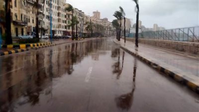 الإسكندرية تستعد لمواجهة حالة عدم الاستقرار في الأحوال الجوية