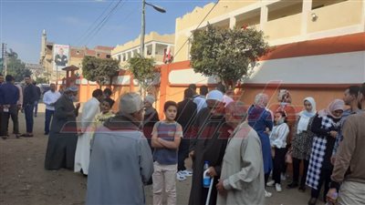 توفير كراسي ومظلات أمام لجان انتخابات النواب في كفر الشيخ