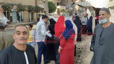 برلمان 2020.. المرأة تتقدم الصفوف أمام اللجان بـ”المنوفية“