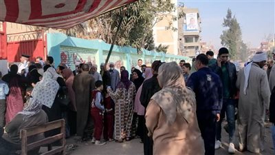 إجراءات احترازية وتوافد المواطنين للتصويت في الانتخابات البرلمانية بالدقهلية