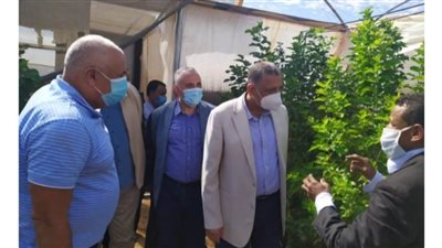 محافظ الوادي ووزيرا الزراعة والري يتفقدون مشروع إنتاج الحرير