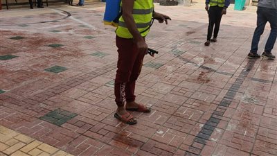 تأمين شامل للناخبين بلجان الإسماعيلية