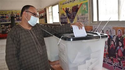 توزيع الكمامات أمام اللجان الانتخابية.. عمل تطوعي لشباب الإسماعيلية