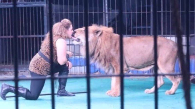 احد فقرات السيرك