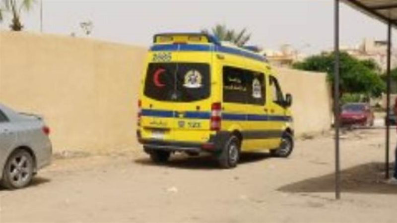 إصابة ربة منزل ونجلها