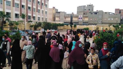 سيدات كفرالشيخ يًسطرن ملحمة وطنية أمام لجان انتخابات مجلس النواب