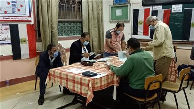 غلق اللجان وبدء فرز الأصوات في الانتخابات البرلمانية بالدقهلية