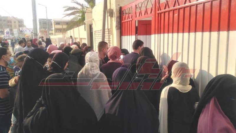 سيدات كفرالشيخ