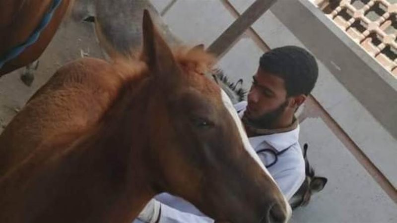 قافلة جامعة سوهاج