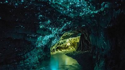 بالصور اكتشف سر الكهف المضيء في نيوزيلندا