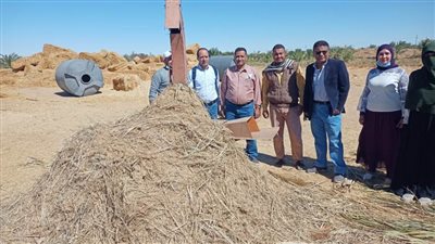 بدء نشاط المشروع البحثى لاستخدام مخلفات النخيل 