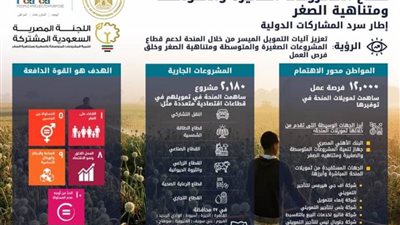 المشاط : لجنة المنحة السعودية تقر 100 مليون جنيه لتمويل الحرف اليدوية 