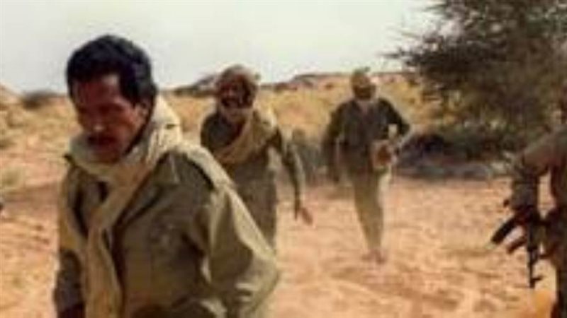 عانصر البوليساريو