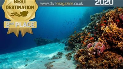 مصر تفوز بالمركز الثانى كأفضل وجهة للغوص في العالم 