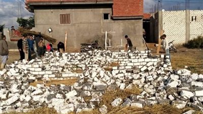 إزالة حالتي تعدٍ على الأراضي الزراعية بالبحيرة