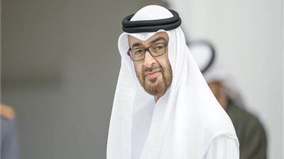 الإمارات وأرمينيا يبحثان عددا من القضايا الإقليمية والدولية