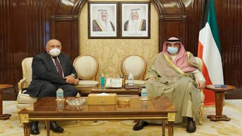 سامح شكري يلتقي الشيخ