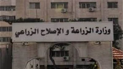  انطلاق فعاليات مهرجان العسل المصري بحديقة الأورمان.. غدا