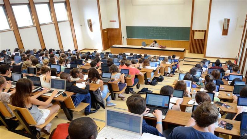 التعليم الجامعي