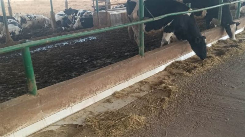 مقر تابع لشركة المهن