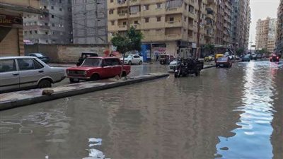 محافظ الإسكندرية يعلن تعطيل الدراسة غدا السبت